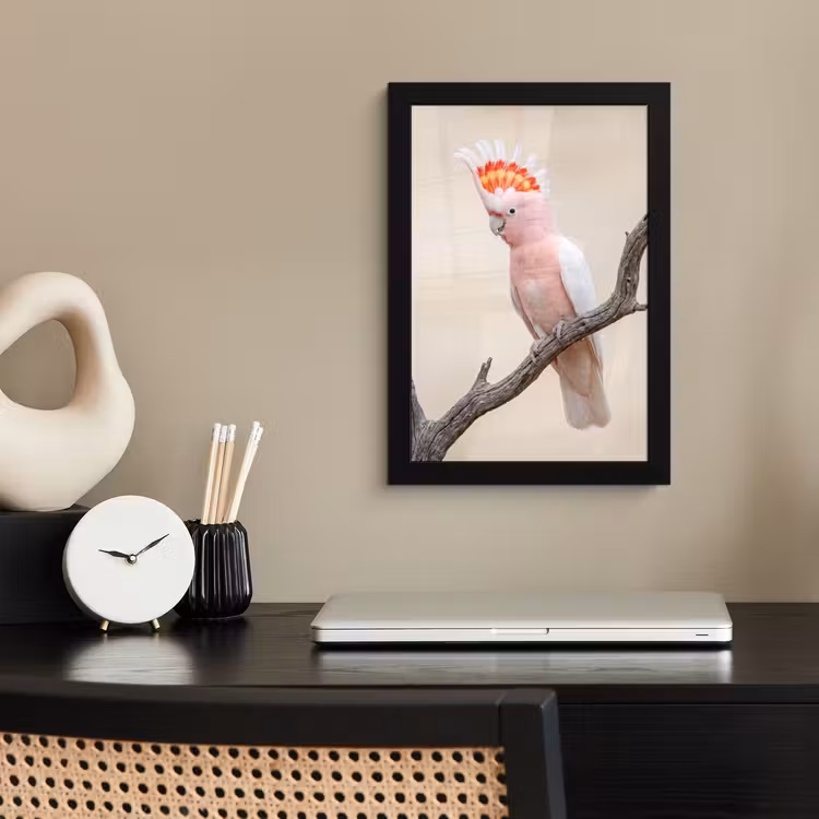 Poster met lijst - Papagaai - Tak - Roze — 3