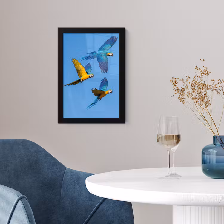 Poster met lijst - Papagaai - Vliegen - Blauw - Geel — 2