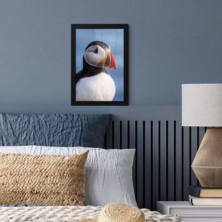 Poster met lijst - Papegaaiduiker - Portret - Natuur — 4