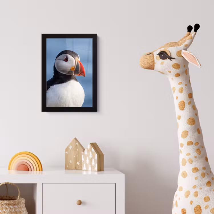 Poster met lijst - Papegaaiduiker - Portret - Natuur — 5