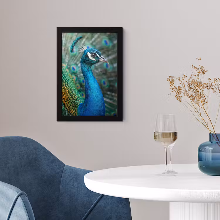 Poster met lijst - Pauw - Veren - Blauw — 2