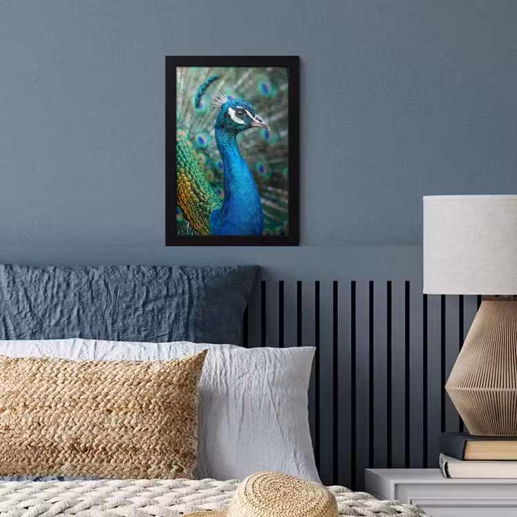 Poster met lijst - Pauw - Veren - Blauw — 4