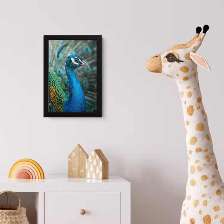 Poster met lijst - Pauw - Veren - Blauw — 5