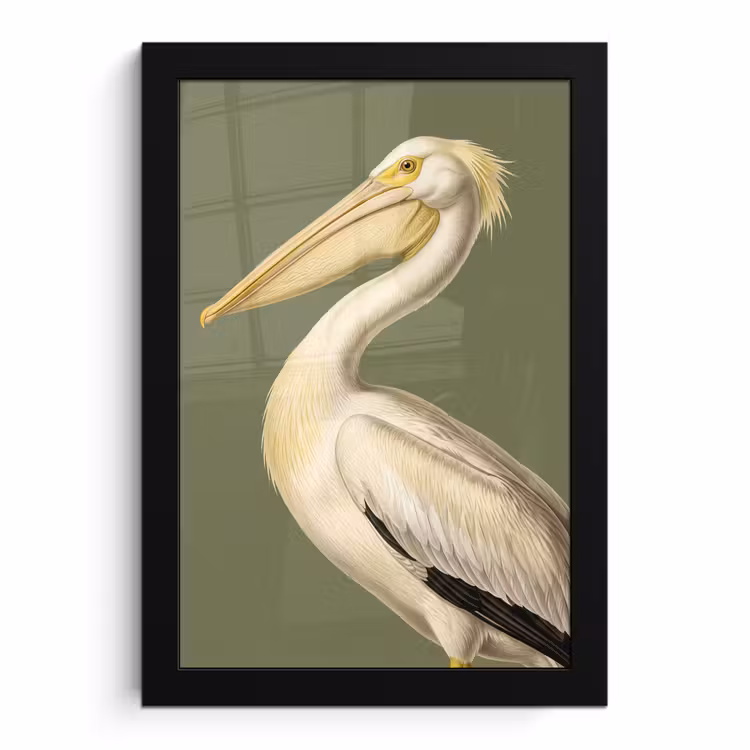 Poster met lijst - Pelikaan - Wit - Vogel - Klassiek - Natuur — 1