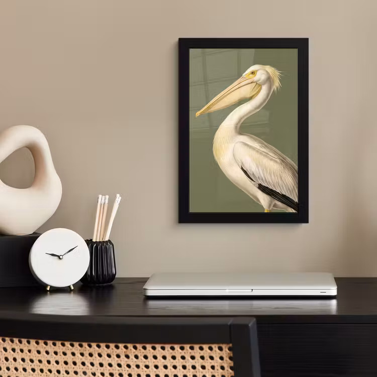 Poster met lijst - Pelikaan - Wit - Vogel - Klassiek - Natuur — 3