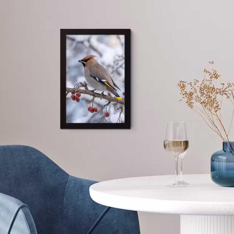 Poster met lijst - Pestvogel - Bessen - Winter - Natuur — 2