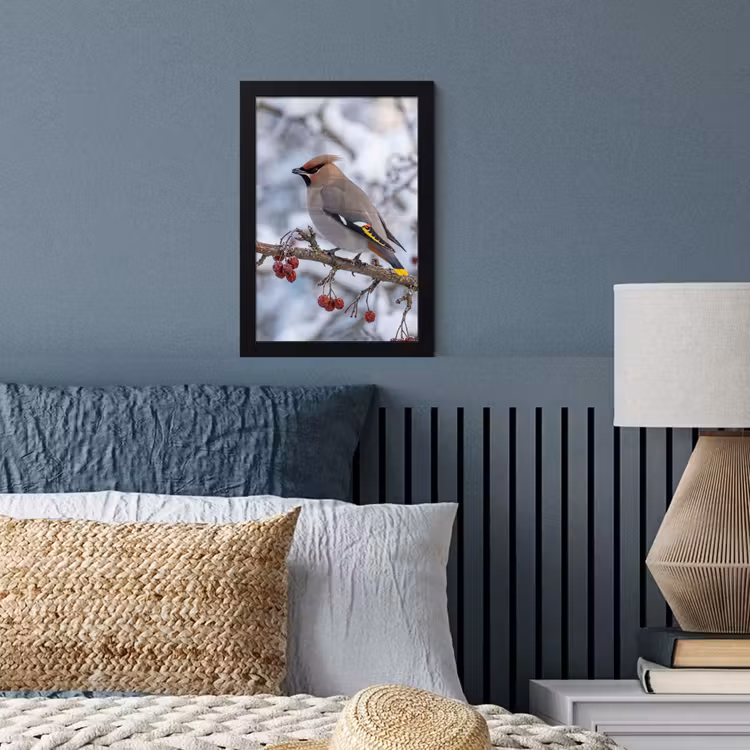 Poster met lijst - Pestvogel - Bessen - Winter - Natuur — 4