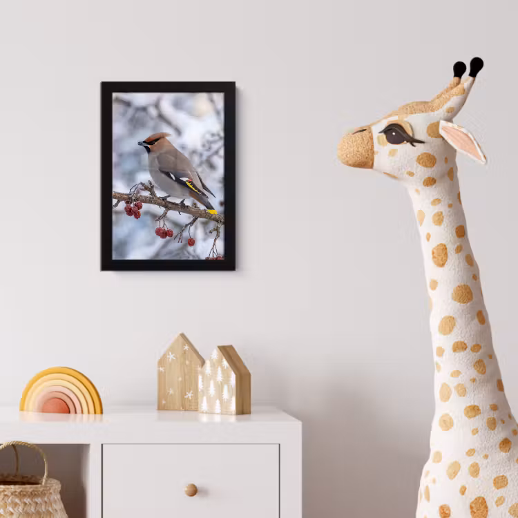 Poster met lijst - Pestvogel - Bessen - Winter - Natuur — 5