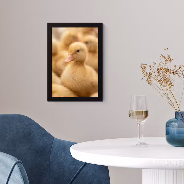 Poster met lijst - Pijltje - Eend - Natuur - Geel — 2