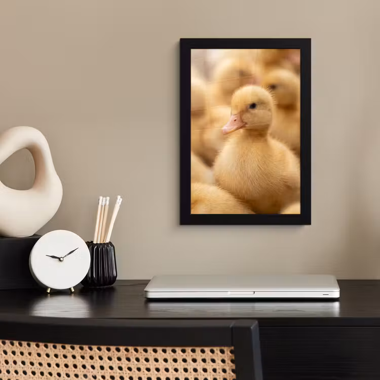 Poster met lijst - Pijltje - Eend - Natuur - Geel — 3