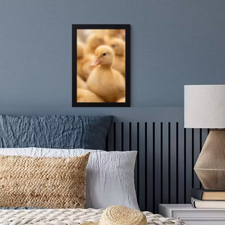 Poster met lijst - Pijltje - Eend - Natuur - Geel — 4