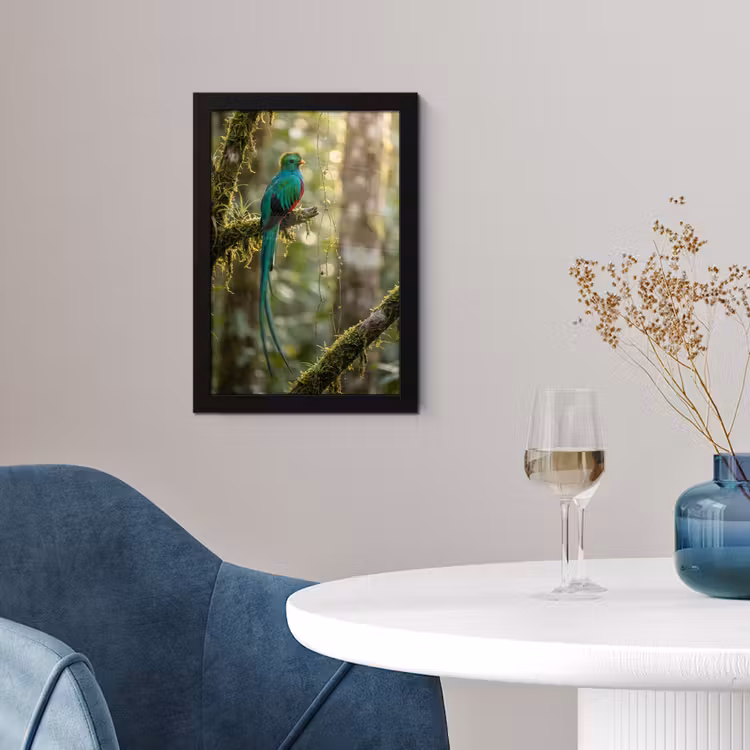 Poster met lijst - Quetzal - Jungle - Natuur - Groen — 2