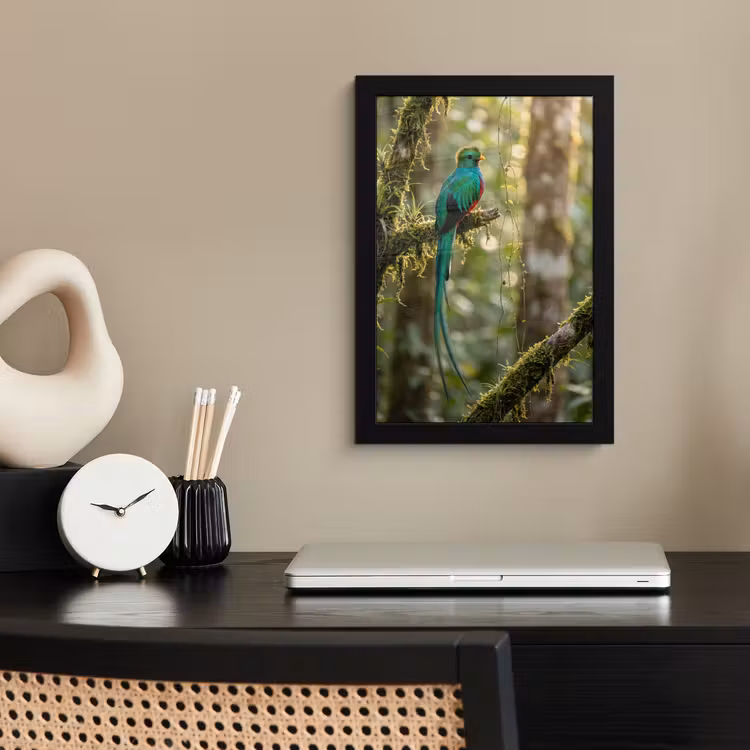 Poster met lijst - Quetzal - Jungle - Natuur - Groen — 3