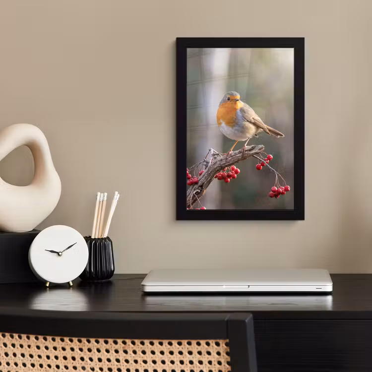 Poster met lijst - Roodborst - Tak - Bessen - Natuur — 3