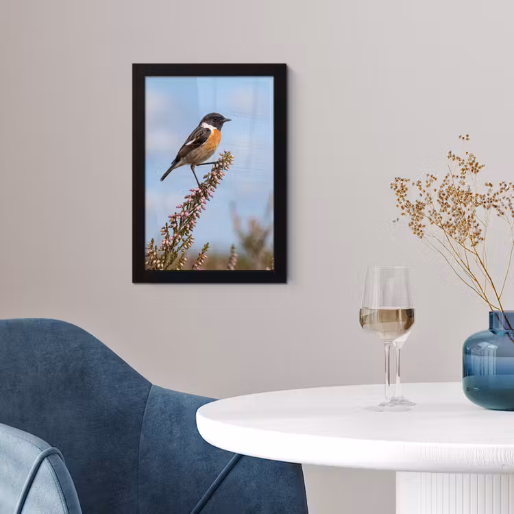 Poster met lijst - Roodborsttapuit - Heide - Paars - Natuur - Sfeervol — 2