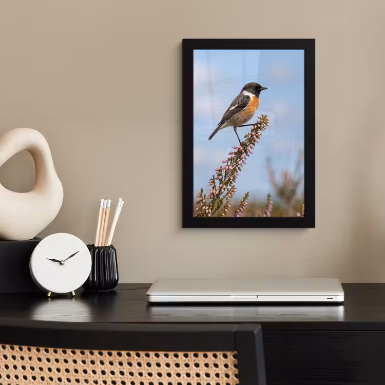 Poster met lijst - Roodborsttapuit - Heide - Paars - Natuur - Sfeervol — 3