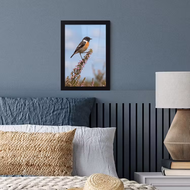 Poster met lijst - Roodborsttapuit - Heide - Paars - Natuur - Sfeervol — 4