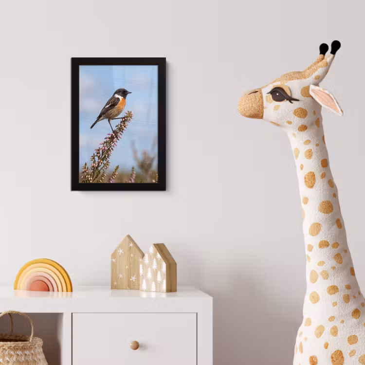 Poster met lijst - Roodborsttapuit - Heide - Paars - Natuur - Sfeervol — 5