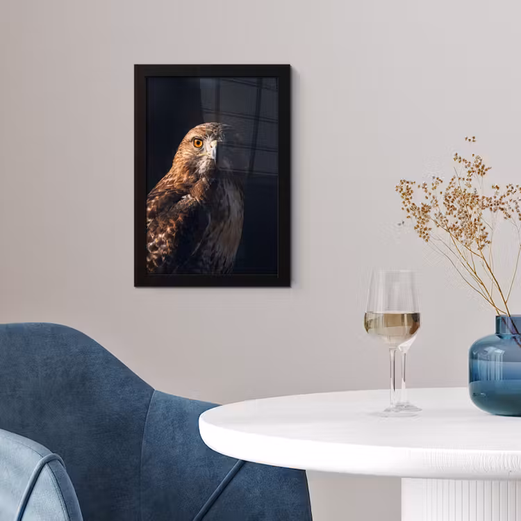 Poster met lijst - Roofvogel - Buizerd - Bruin — 2