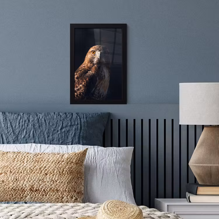 Poster met lijst - Roofvogel - Buizerd - Bruin — 4
