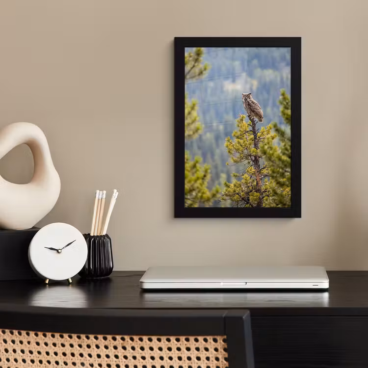 Poster met lijst - Uil - Oehoe - Bomen - Natuur — 3
