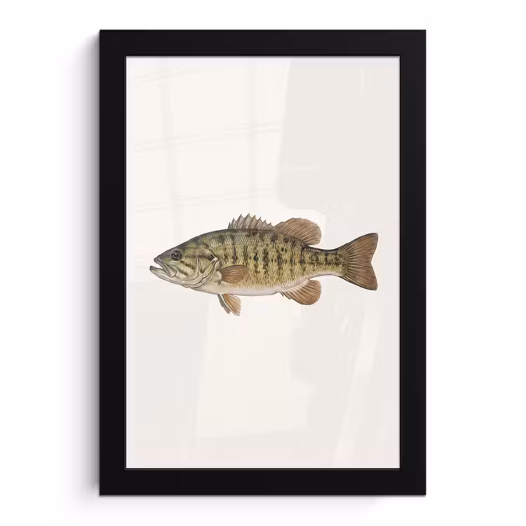 Poster met lijst - Vissen - Natuur - Vintage — 1