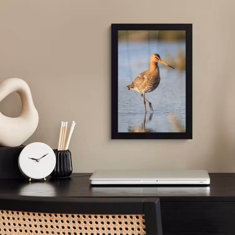 Poster met lijst - Vogel - Steltloper - Water - Natuur — 3