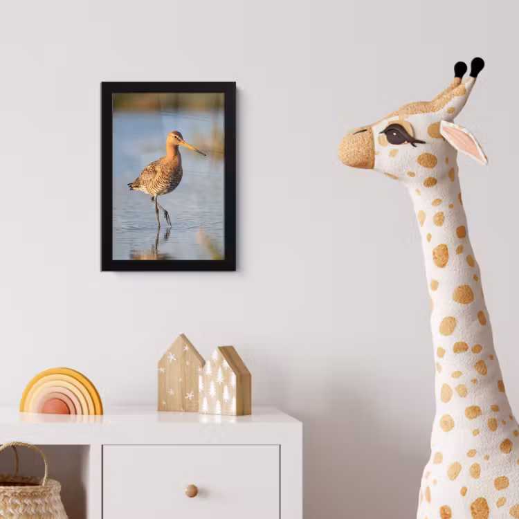 Poster met lijst - Vogel - Steltloper - Water - Natuur — 5