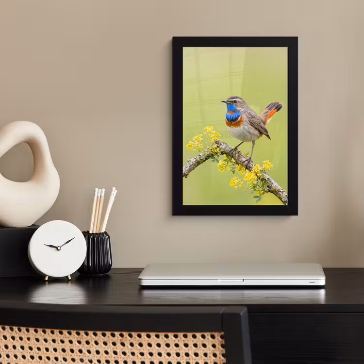Poster met lijst - Vogel - Tak - Natuur - Kleurrijk — 3