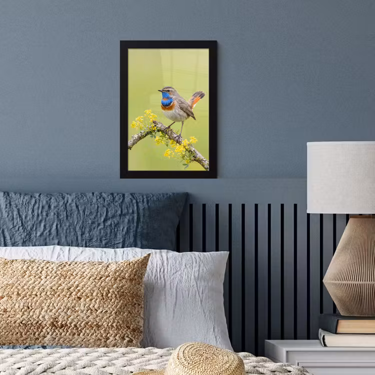 Poster met lijst - Vogel - Tak - Natuur - Kleurrijk — 4