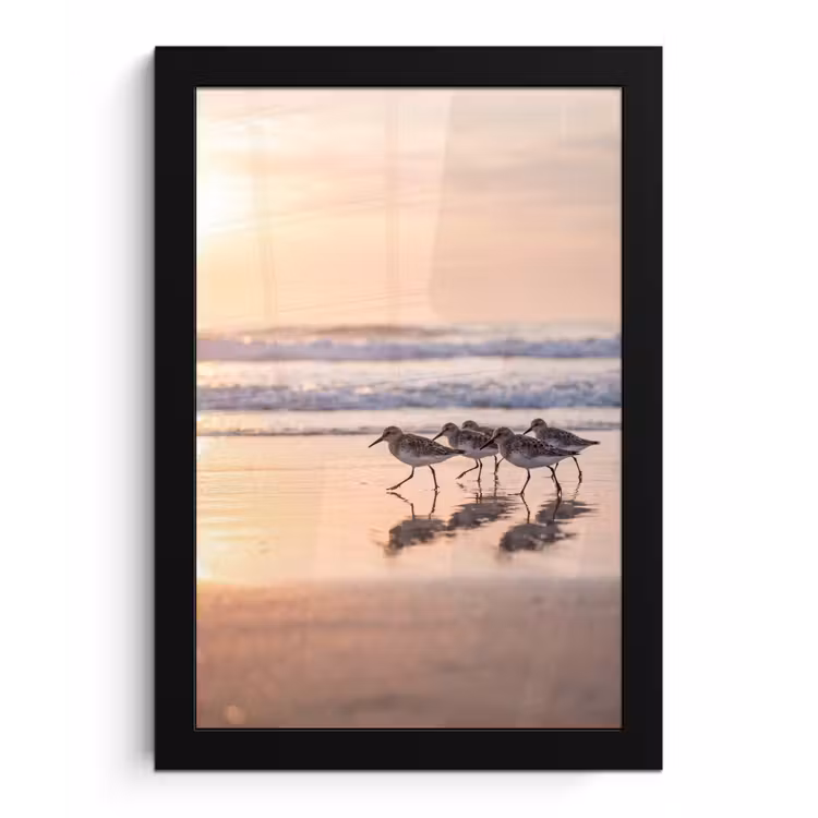 Poster met lijst - Zee - Vogels - Strand — 1