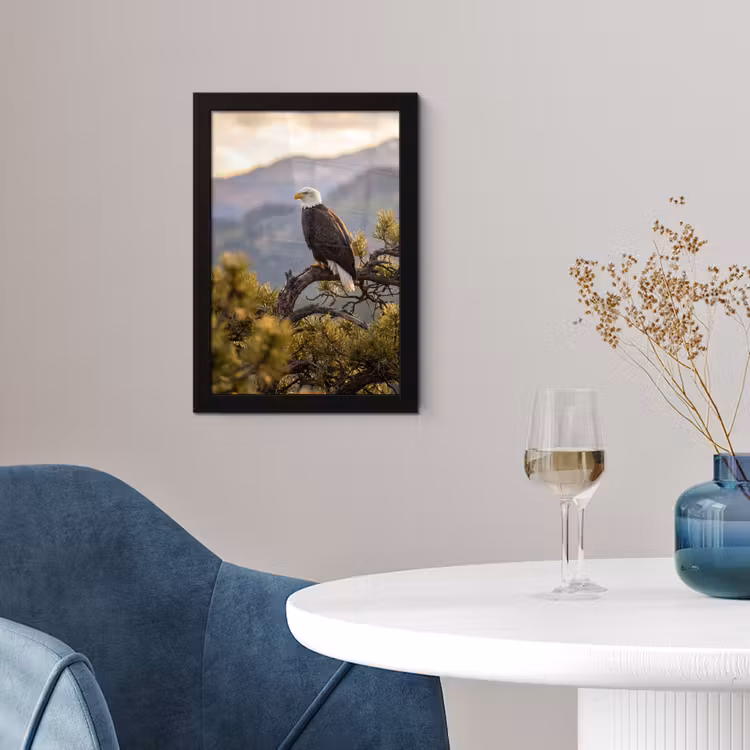 Poster met lijst - Zeearend - Boom - Bergen - Groen — 2