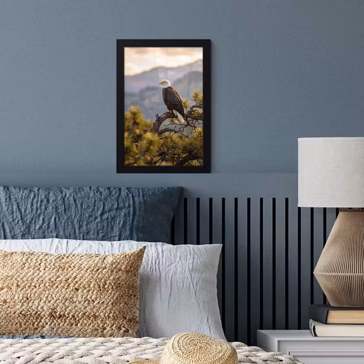 Poster met lijst - Zeearend - Boom - Bergen - Groen — 4