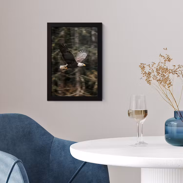 Poster met lijst - Zeearend - Vliegen - Bos - Natuur — 2