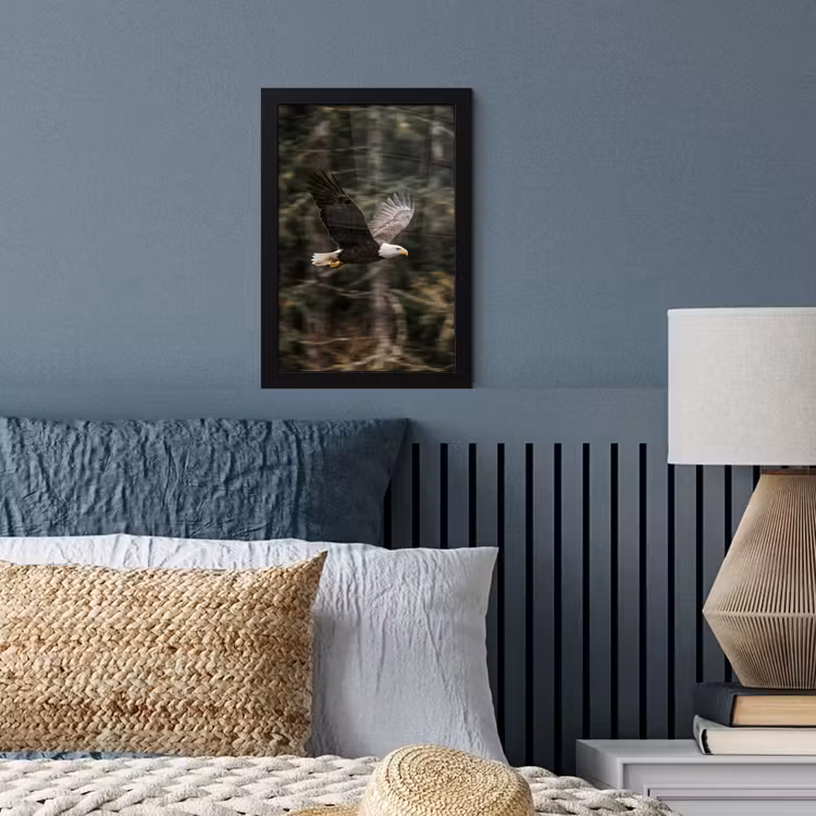 Poster met lijst - Zeearend - Vliegen - Bos - Natuur — 4