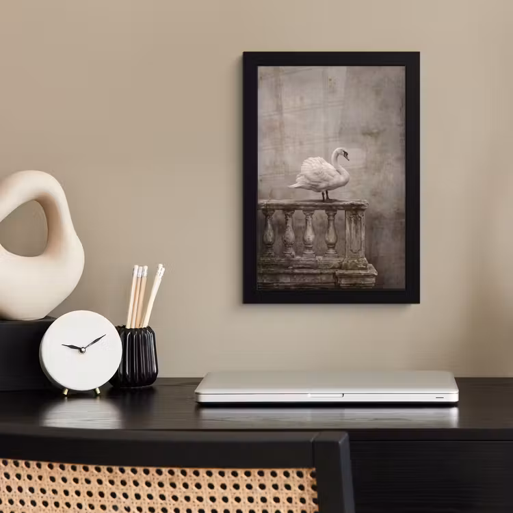 Poster met lijst - Zwaan - Elegant - Dieren - Wit — 3