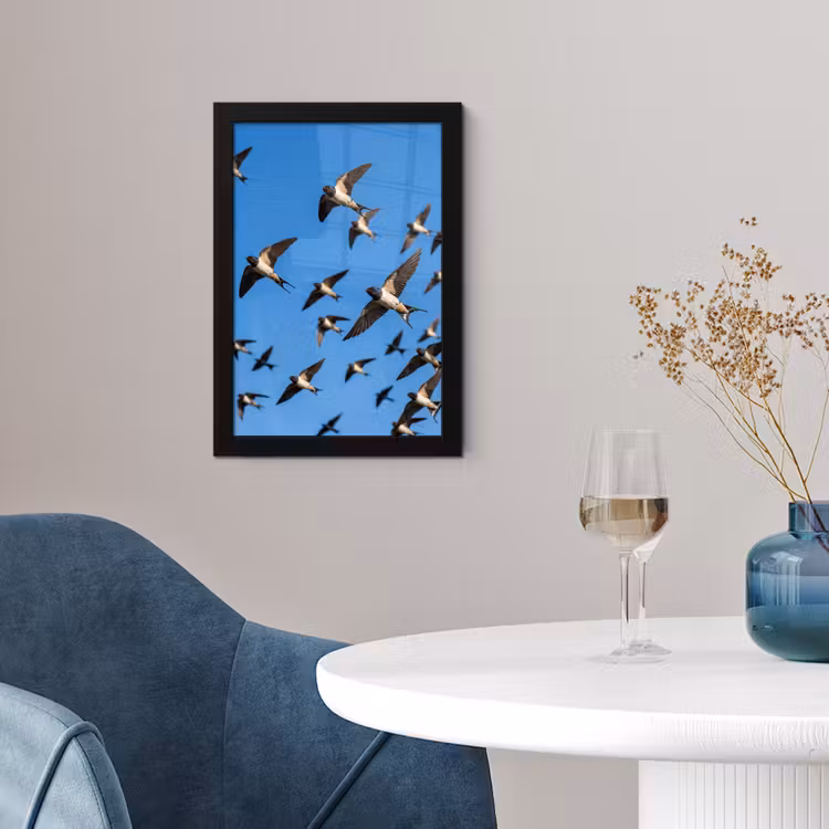 Poster met lijst - Zwaluwen - Vliegen - Blauw — 2