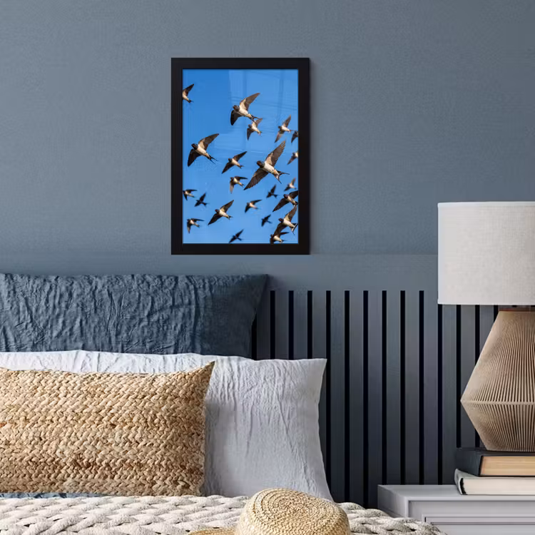 Poster met lijst - Zwaluwen - Vliegen - Blauw — 4