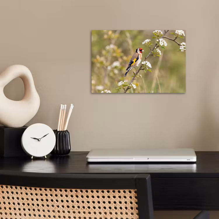 Poster - Putter - Bloesem - Lente - Natuur - Kleurrijk — 2