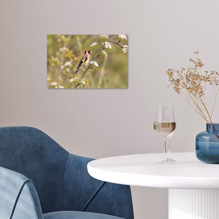 Poster - Putter - Bloesem - Lente - Natuur - Kleurrijk — 4