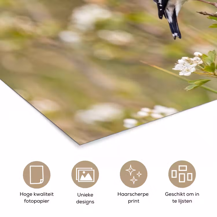 Poster - Putter - Bloesem - Lente - Natuur - Kleurrijk — 5