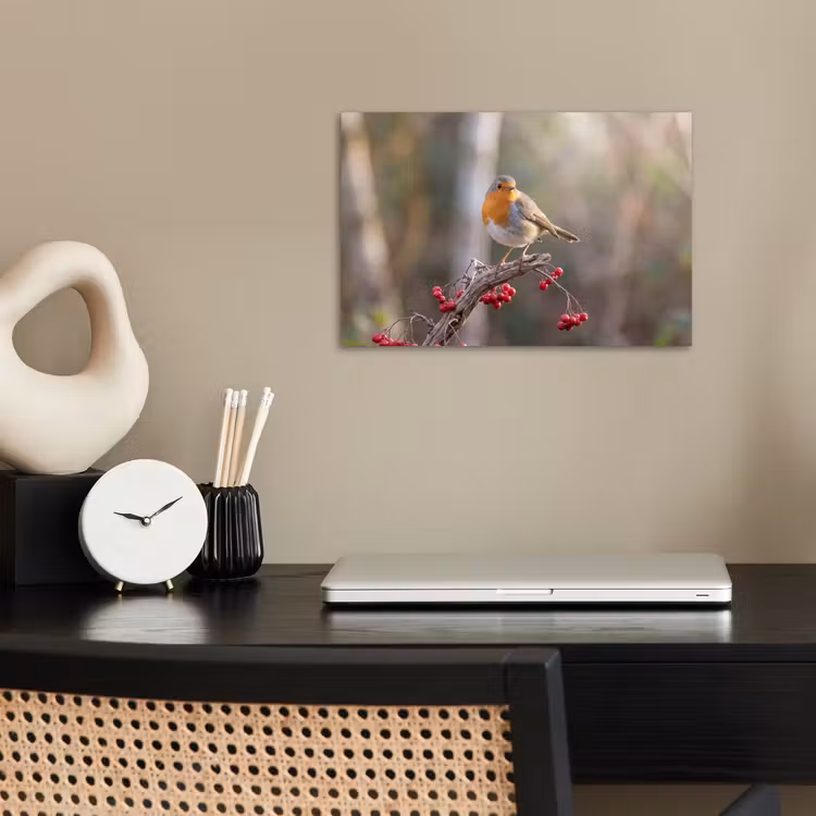 Poster - Roodborst - Tak - Bessen - Natuur — 2