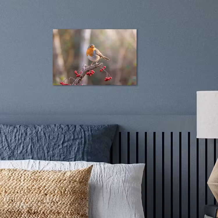 Poster - Roodborst - Tak - Bessen - Natuur — 3