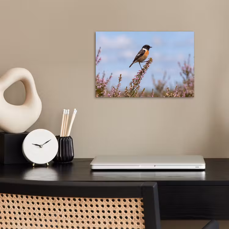 Poster - Roodborsttapuit - Heide - Paars - Natuur - Sfeervol — 2