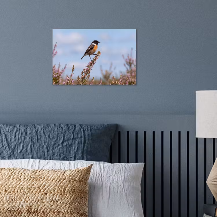 Poster - Roodborsttapuit - Heide - Paars - Natuur - Sfeervol — 3