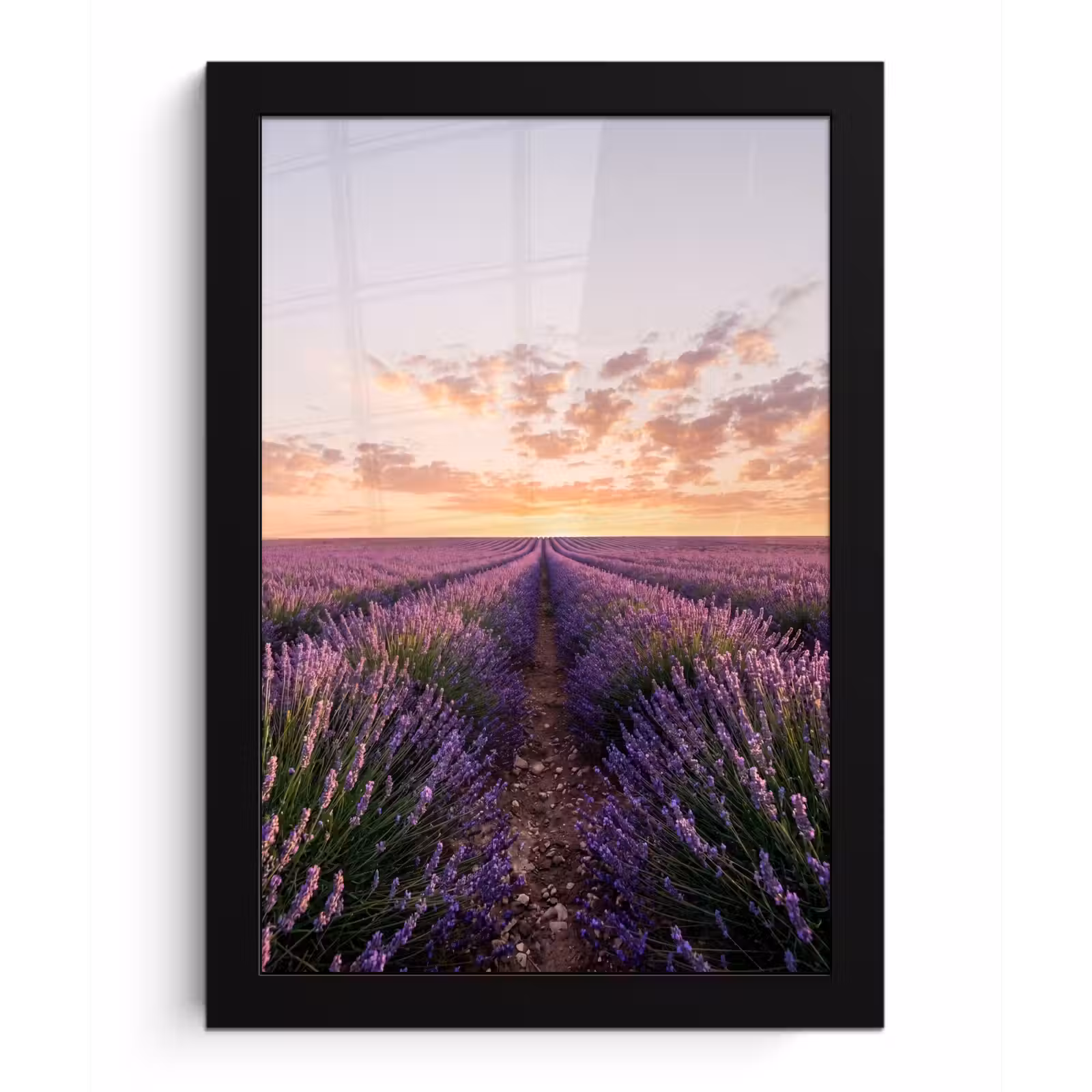Poster met lijst - Landschap - Lavendelveld - Paars — 1