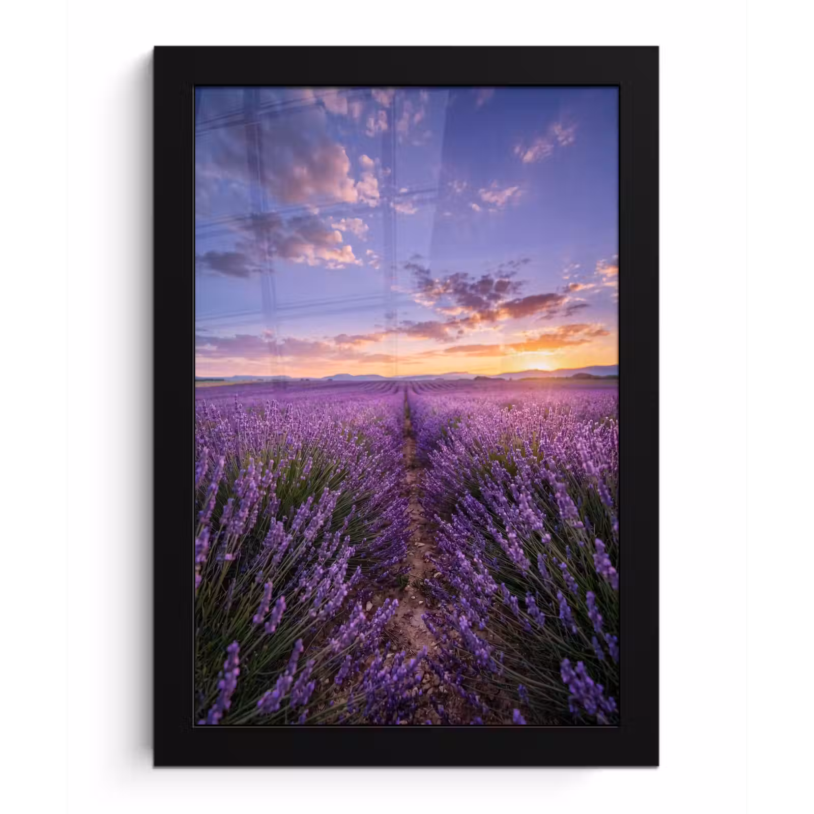Poster met lijst - Lavendel - Veld - Natuur - Paars — 1