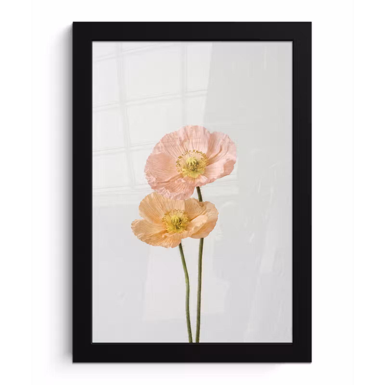 Poster met lijst - Papavers - Botanisch - Roze — 1