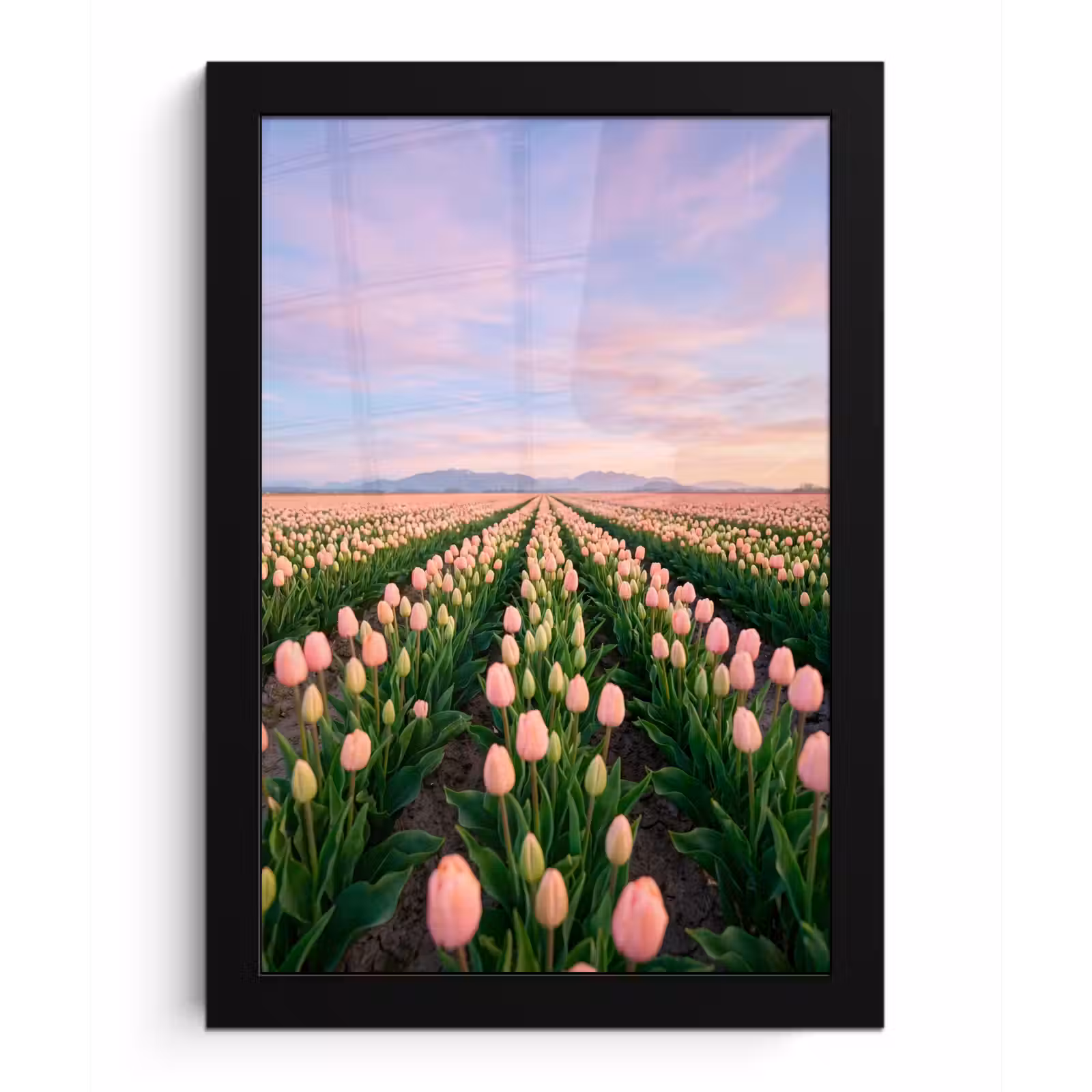 Poster met lijst - Tulpen - Landschap - Roze — 1
