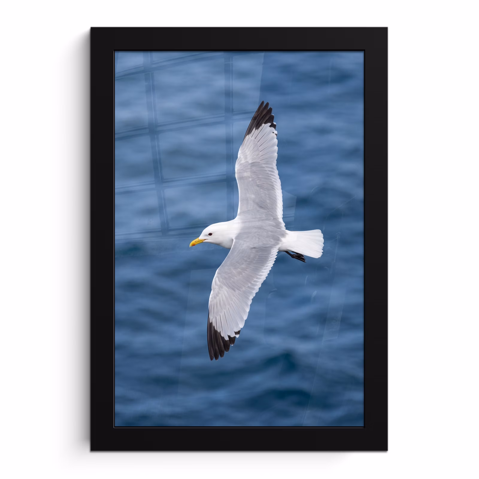 Poster met lijst - Zeemeeuw - Oceaan - Blauw — 1